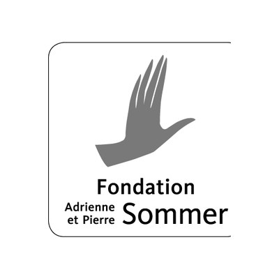 Référence client ketsu : Fondation Adrienne et Pierre Sommer