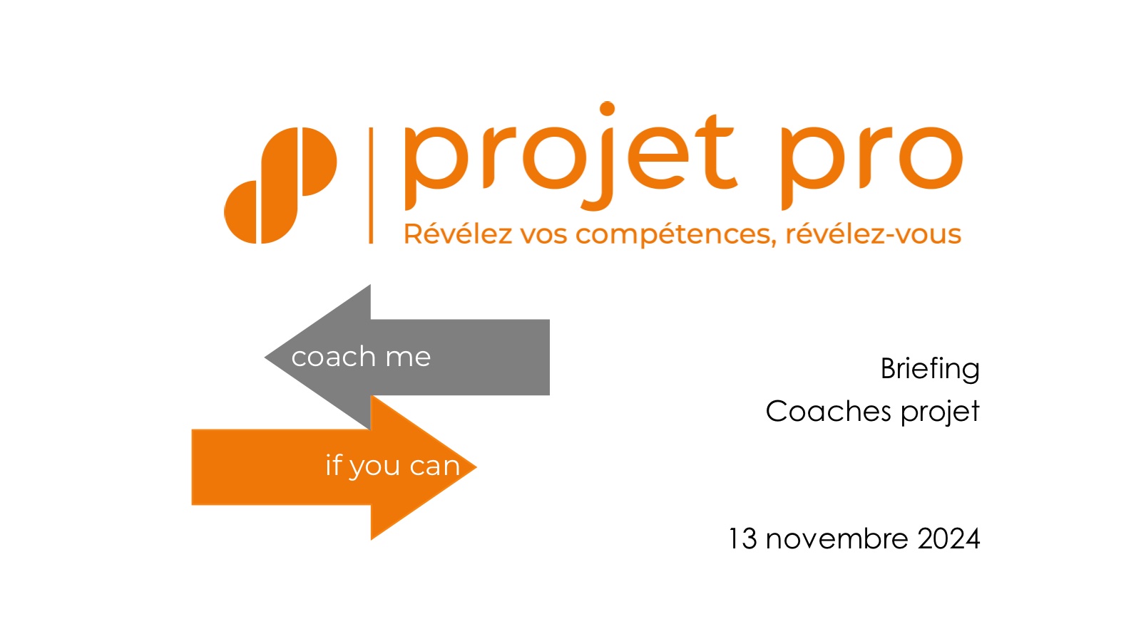 Sup de Pub / La Fabrik, Coaching des projets professionnels des étudiants